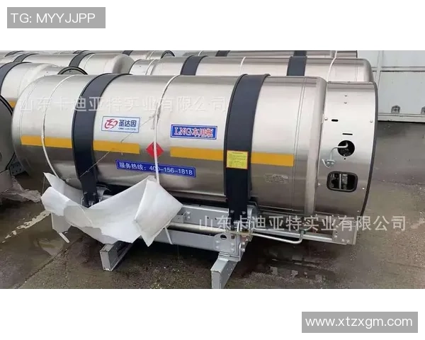 LNG在挑战者杯中的灵活性表现分析与战术探讨